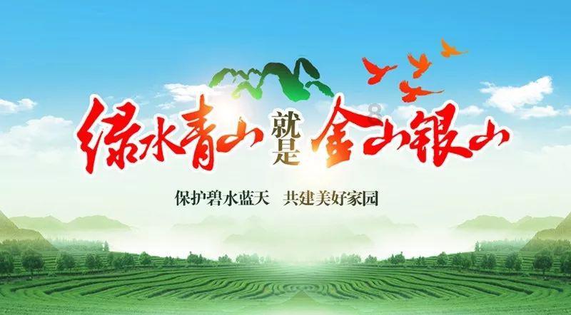 极品飞车19